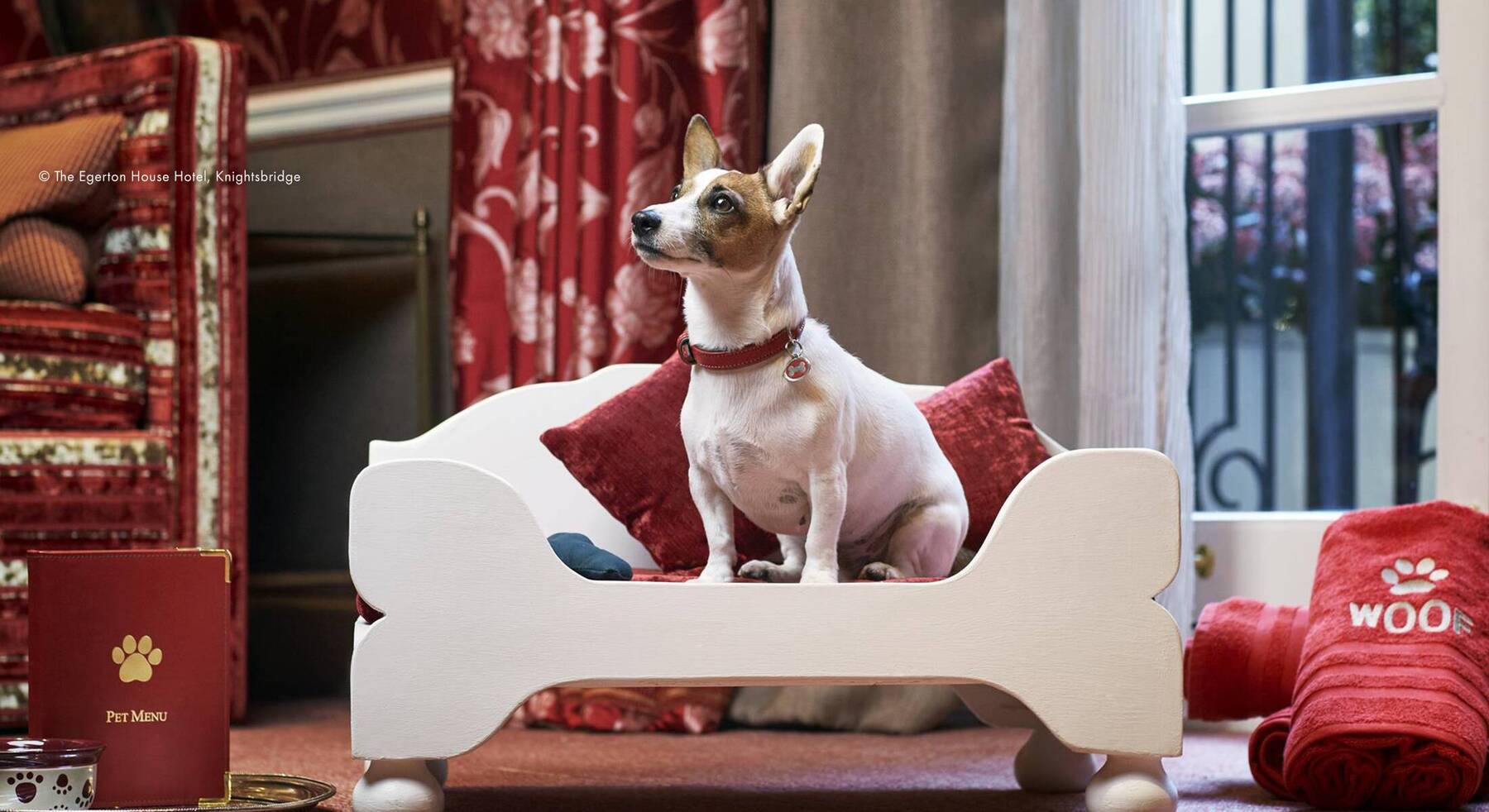 Inside the World’s Top Pet-Friendly Luxury Hotels