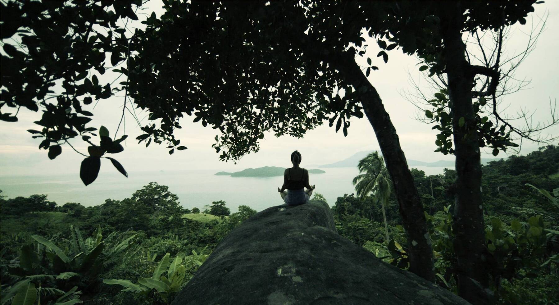 Five Transformative Stays for 2026