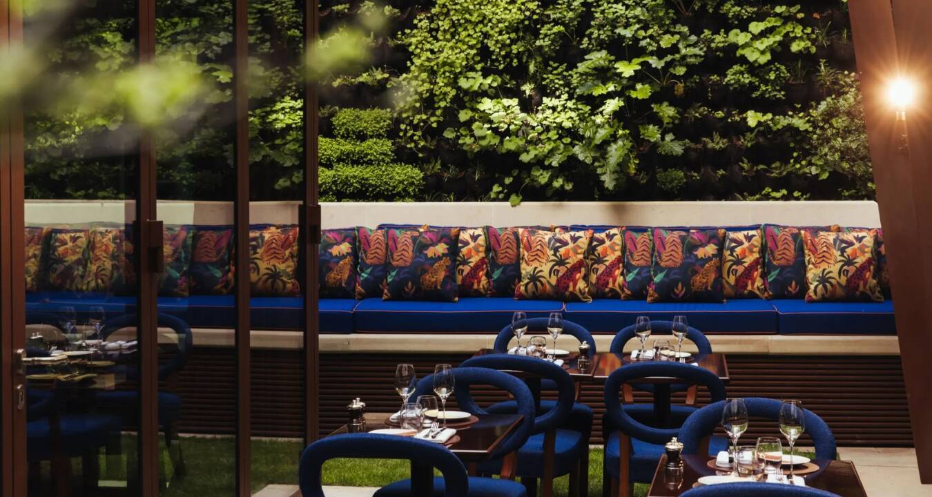 Elegant Cocktails & Chats at Frida Bar