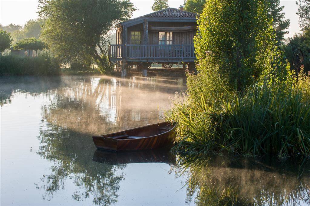 Suite - Ile aux Oiseaux