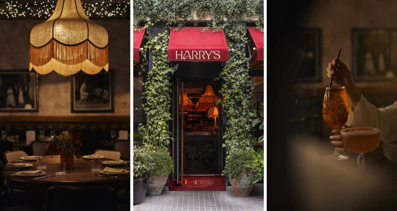 Chic Italian Dinner at Harry’s