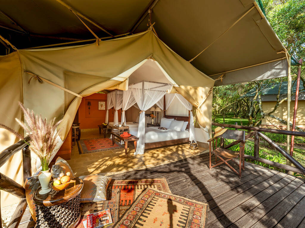 Riverfront Tent with Two Queens 