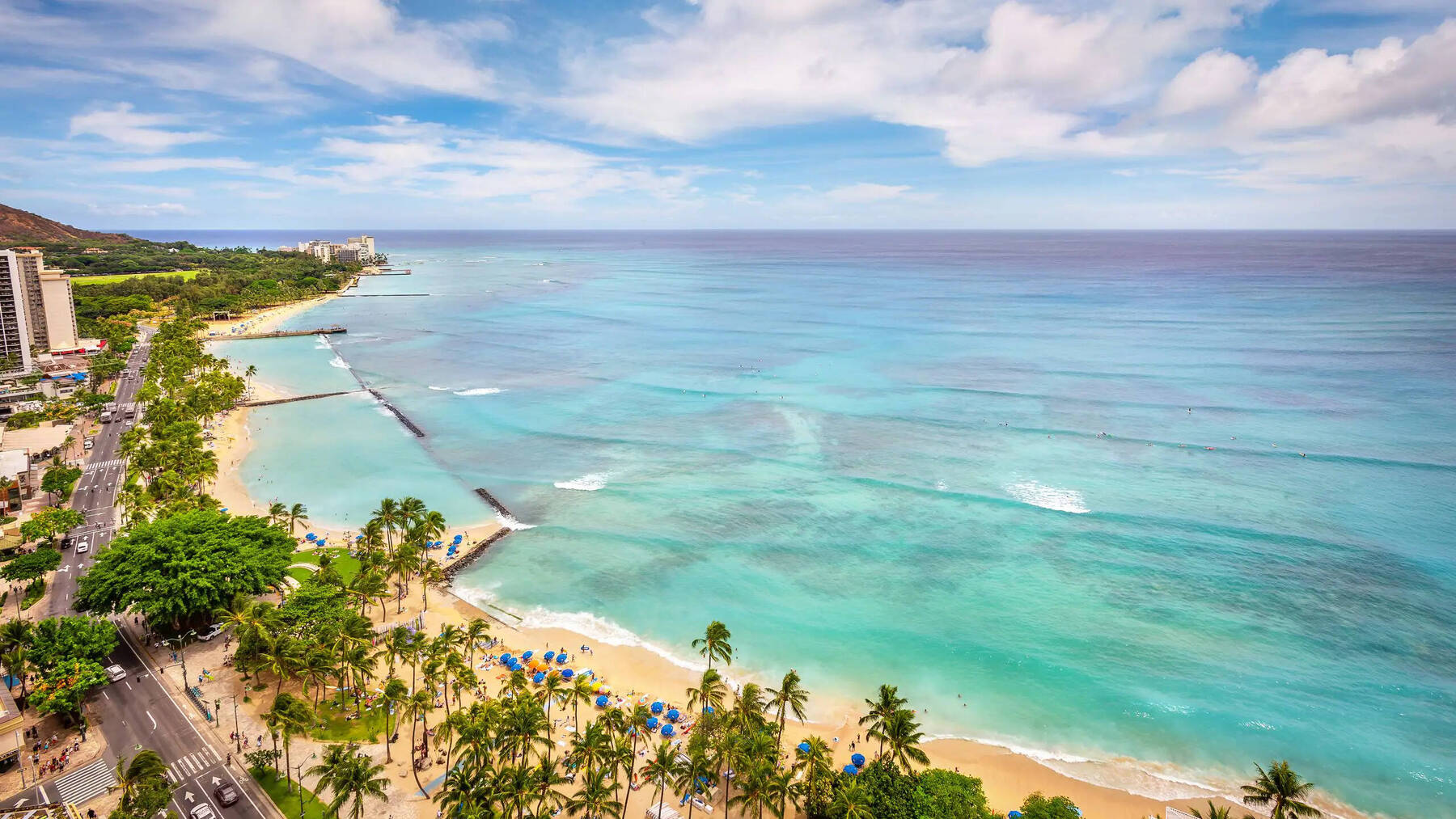 One King Ocean Front 