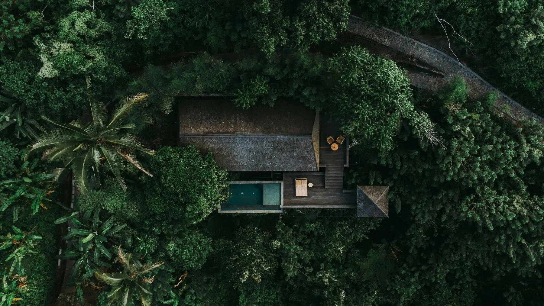 RAINFOREST POOL BALE