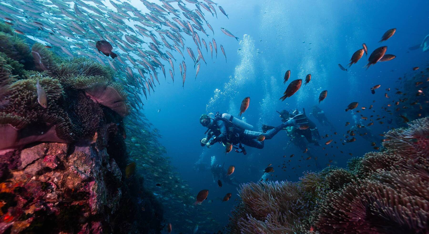 Plunge into the best diving spots in the world