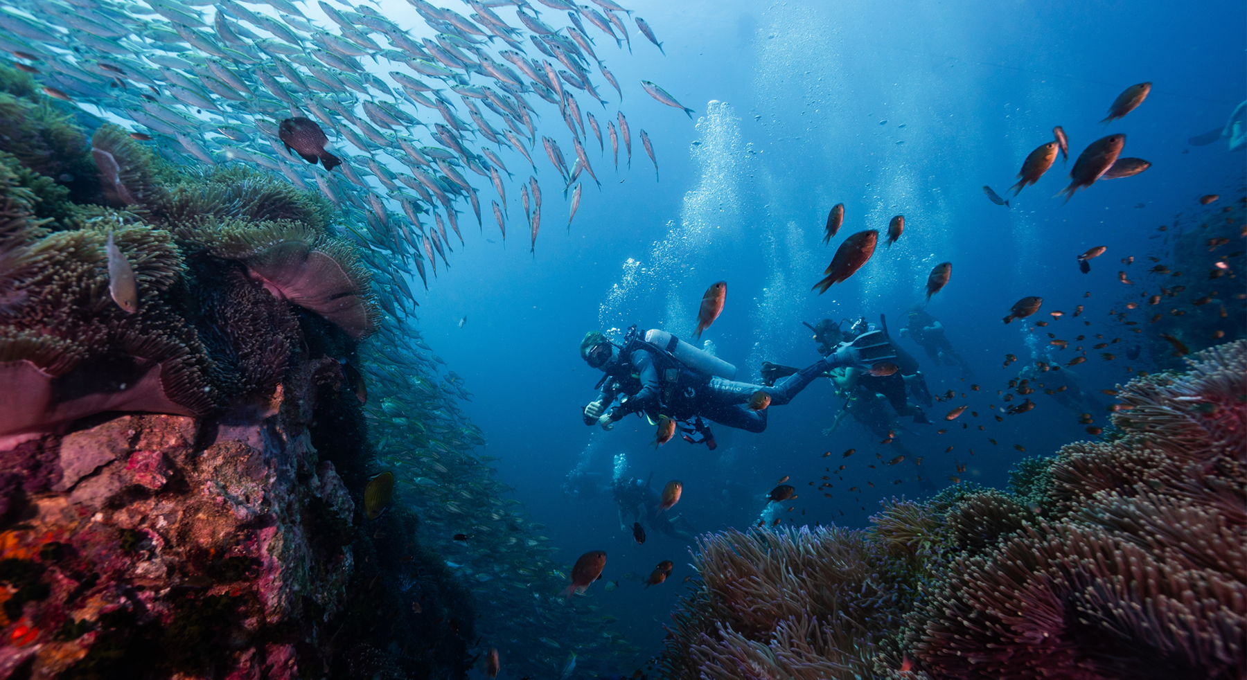 Plunge into the best diving spots in the world