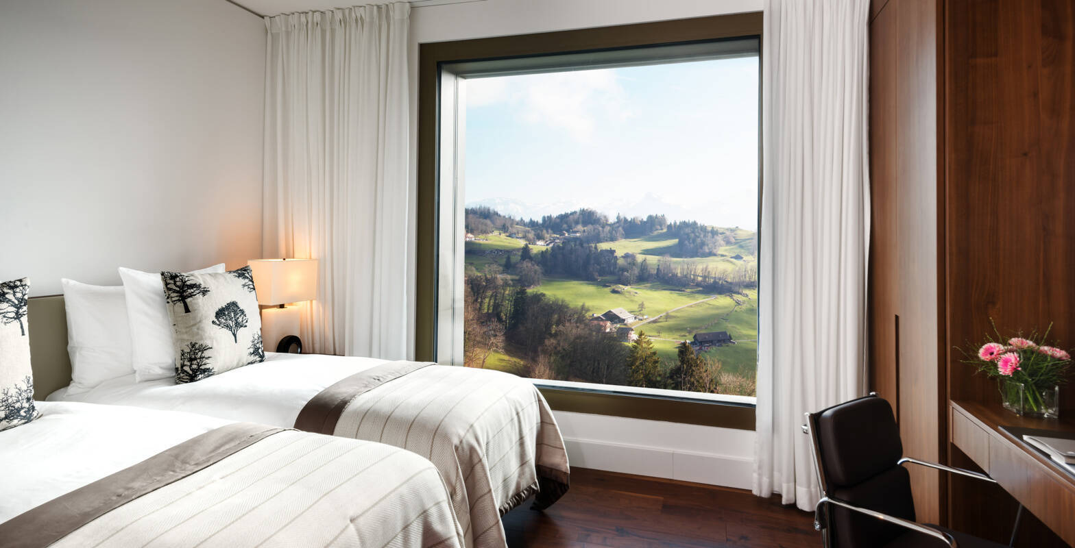 Contemporary Family Suite