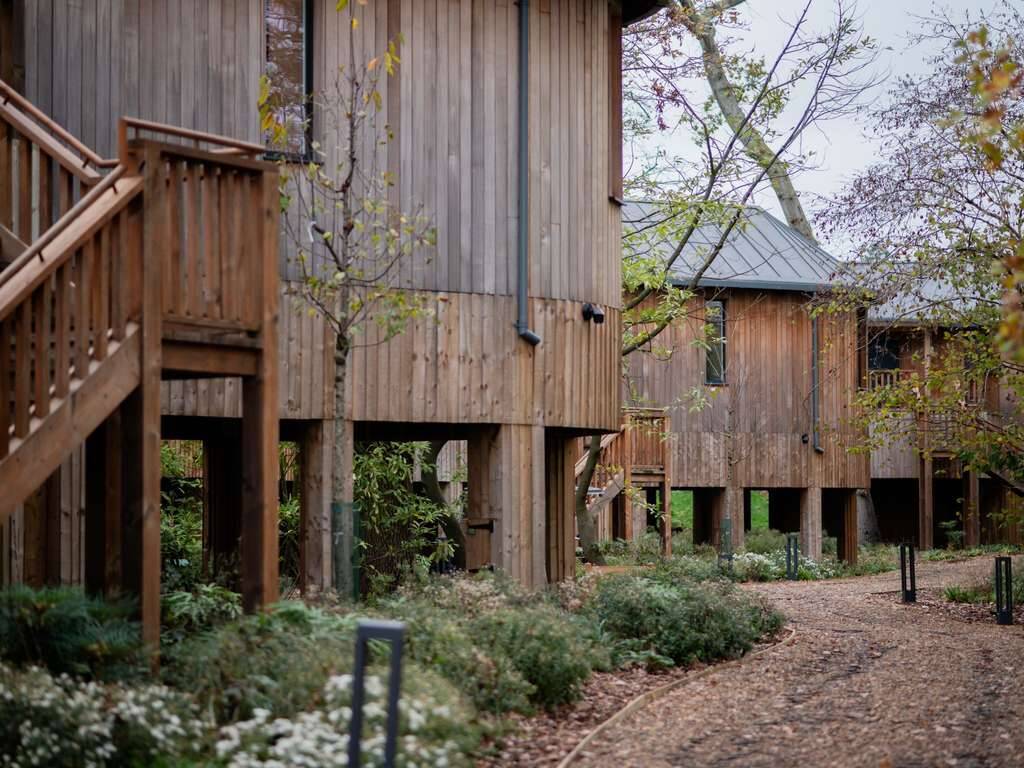 LUXURY TWO BEDROOM TREEHOUSE SUITE