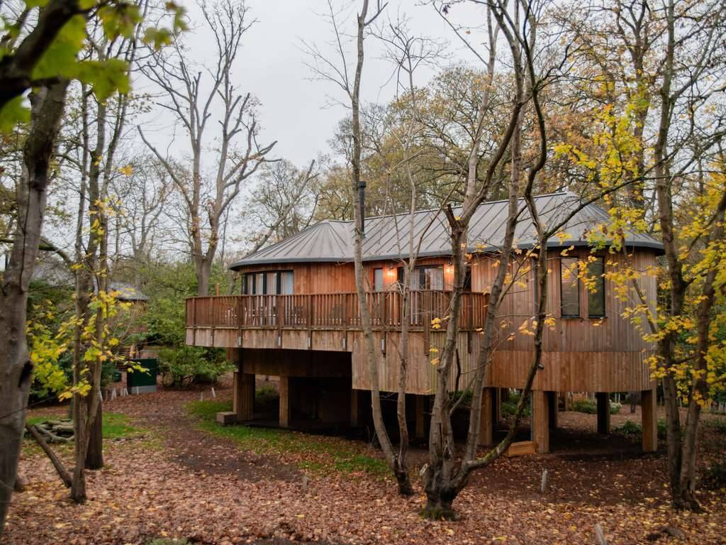 LUXURY TWO BEDROOM TREEHOUSE SUITE