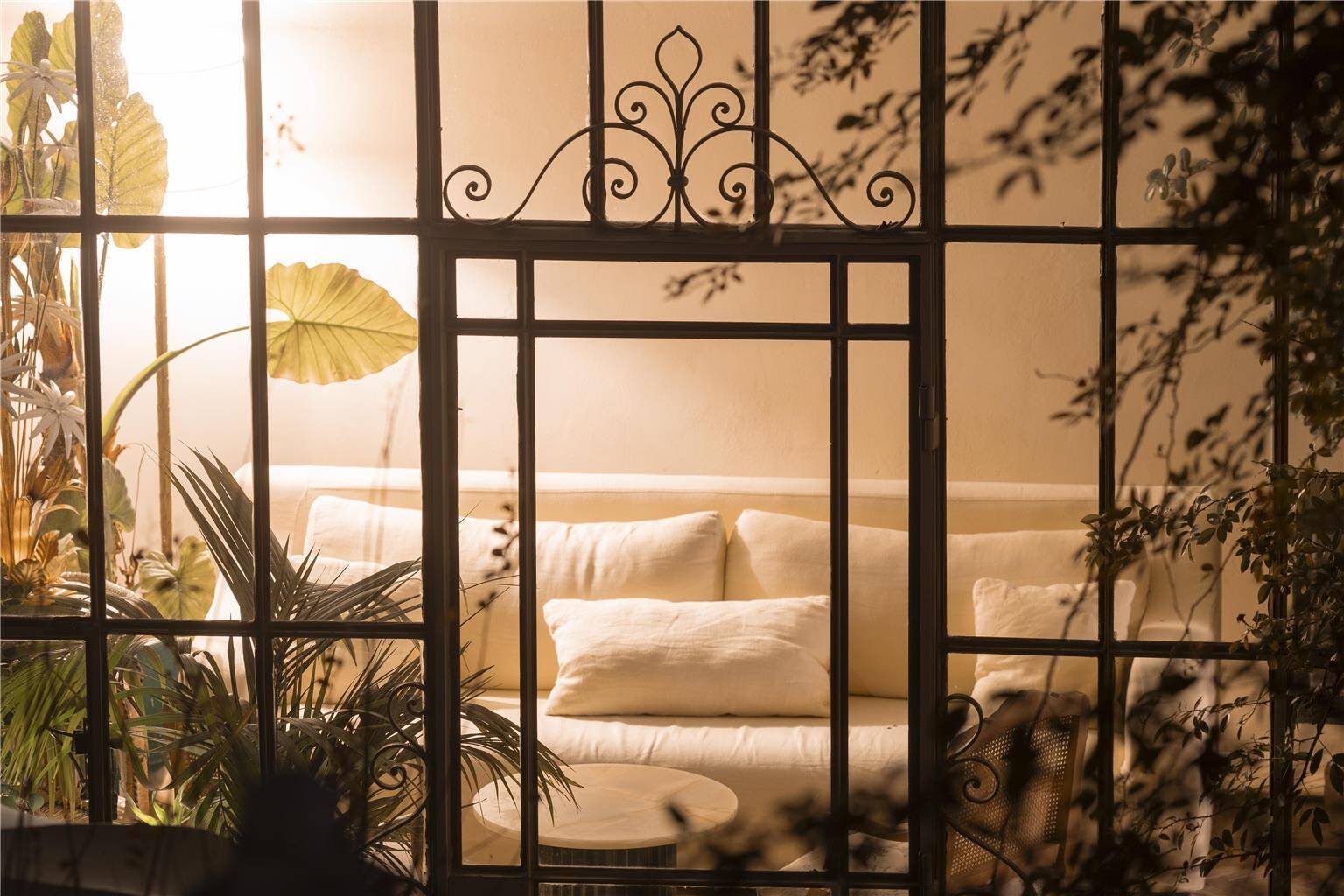 Greenhouse Suite