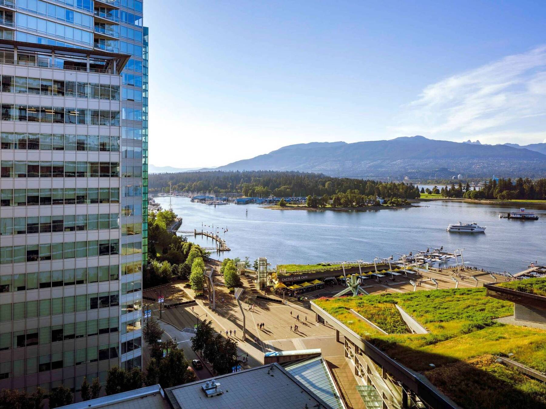 Signature Harbour Mountain View King