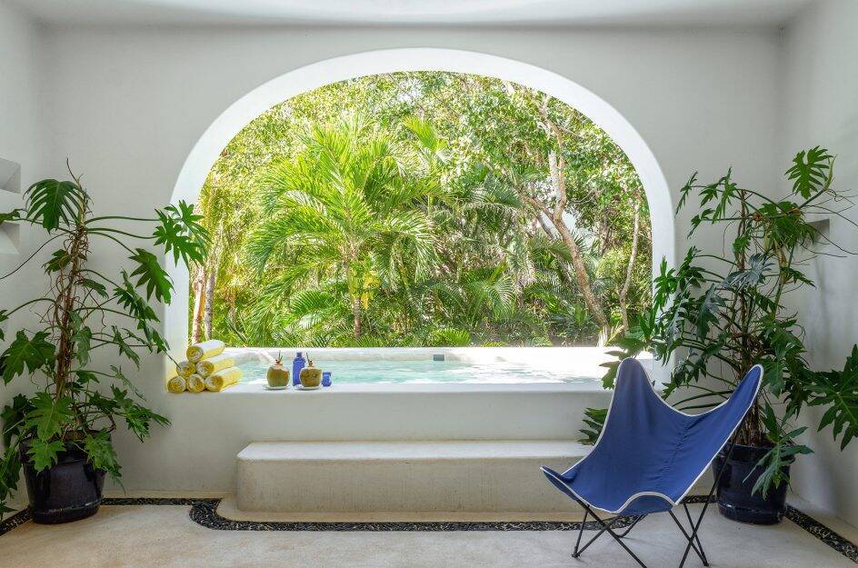 MASTER JUNGLE SUITE